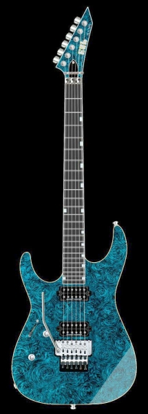 ESP Special Order von vorne